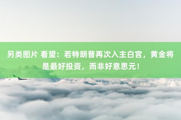 另类图片 看望：若特朗普再次入主白宫，黄金将是最好投资，而非好意思元！