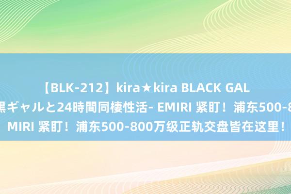 【BLK-212】kira★kira BLACK GAL レンタル痴女GAL-日焼け黒ギャルと24時間同棲性活- EMIRI 紧盯！浦东500-800万级正轨交盘皆在这里！