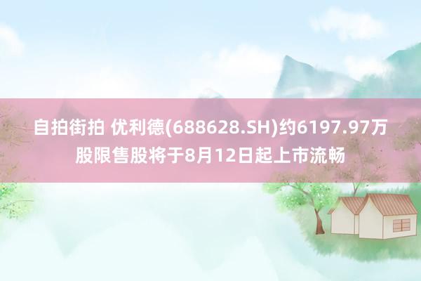 自拍街拍 优利德(688628.SH)约6197.97万股限售股将于8月12日起上市流畅