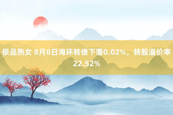 极品熟女 8月8日海环转债下落0.02%，转股溢价率22.52%