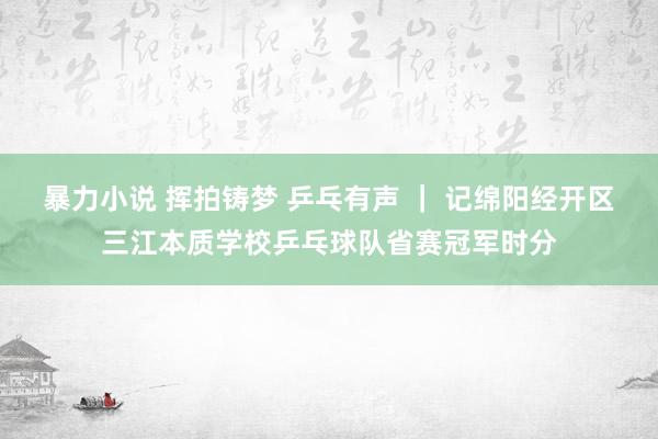 暴力小说 挥拍铸梦 乒乓有声 ｜ 记绵阳经开区三江本质学校乒乓球队省赛冠军时分