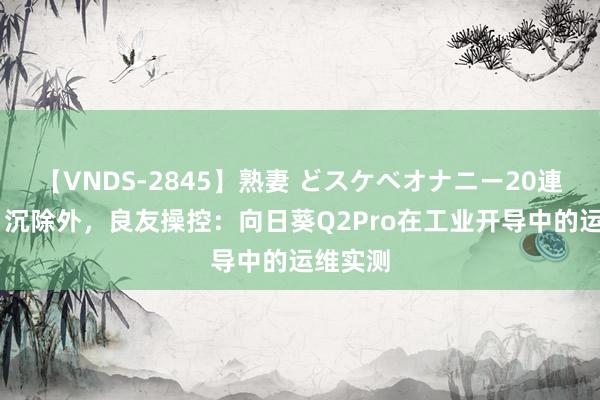 【VNDS-2845】熟妻 どスケベオナニー20連発！！ 沉除外，良友操控：向日葵Q2Pro在工业开导中的运维实测