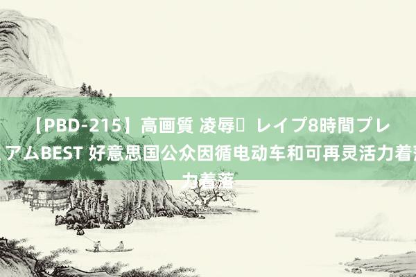 【PBD-215】高画質 凌辱・レイプ8時間プレミアムBEST 好意思国公众因循电动车和可再灵活力着落