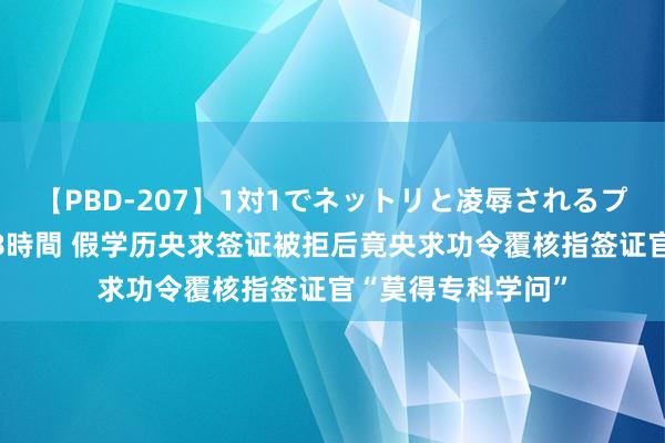 【PBD-207】1対1でネットリと凌辱されるプレミア女優たち 8時間 假学历央求签证被拒后竟央求功令覆核指签证官“莫得专科学问”