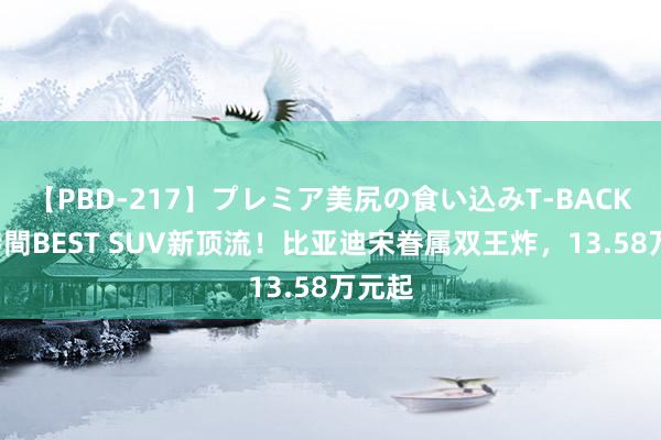 【PBD-217】プレミア美尻の食い込みT-BACK！8時間BEST SUV新顶流！比亚迪宋眷属双王炸，13.58万元起