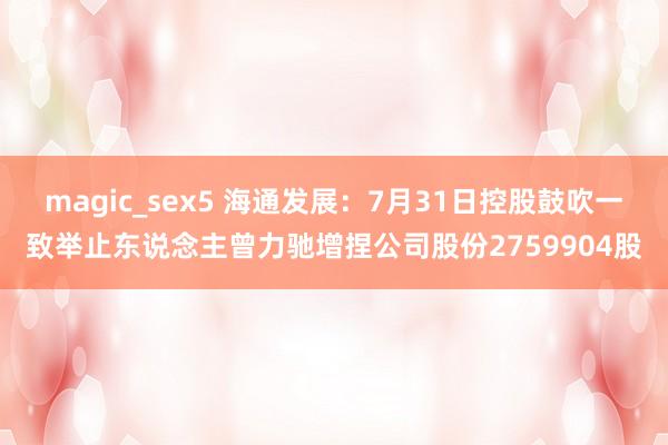 magic_sex5 海通发展：7月31日控股鼓吹一致举止东说念主曾力驰增捏公司股份2759904股