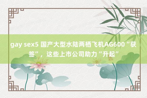 gay sex5 国产大型水陆两栖飞机AG600“获签”，这些上市公司助力“升起”