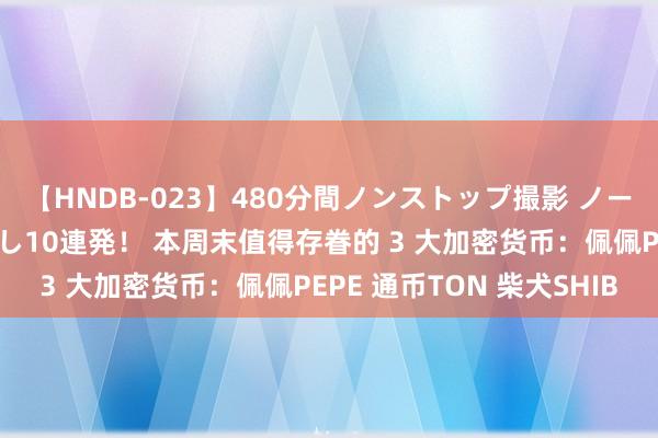 【HNDB-023】480分間ノンストップ撮影 ノーカット編集で本物中出し10連発！ 本周末值得存眷的 3 大加密货币：佩佩PEPE 通币TON 柴犬SHIB