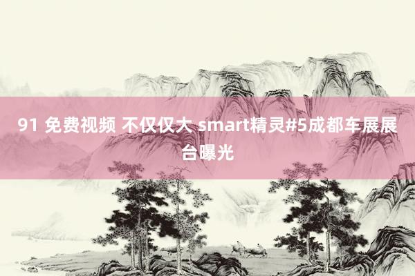 91 免费视频 不仅仅大 smart精灵#5成都车展展台曝光