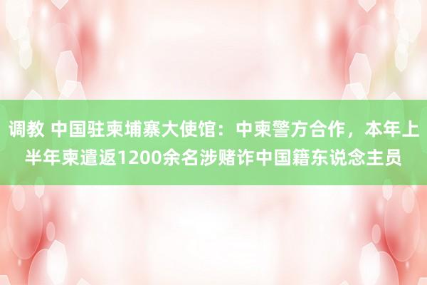 调教 中国驻柬埔寨大使馆：中柬警方合作，本年上半年柬遣返1200余名涉赌诈中国籍东说念主员