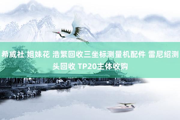 希威社 姐妹花 浩繁回收三坐标测量机配件 雷尼绍测头回收 TP20主体收购