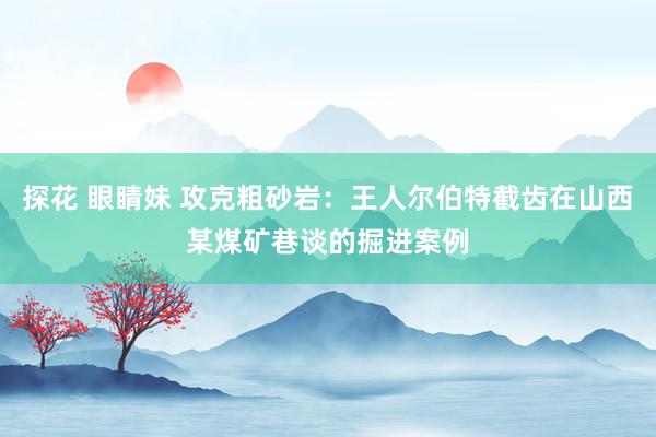 探花 眼睛妹 攻克粗砂岩：王人尔伯特截齿在山西某煤矿巷谈的掘进案例