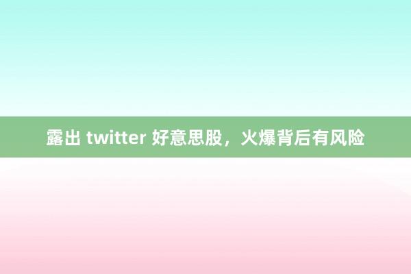 露出 twitter 好意思股，火爆背后有风险