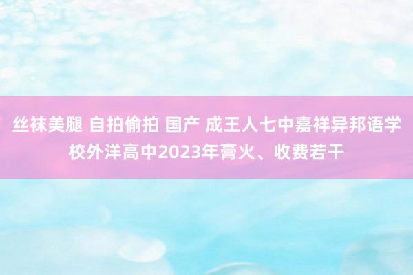 丝袜美腿 自拍偷拍 国产 成王人七中嘉祥异邦语学校外洋高中2023年膏火、收费若干